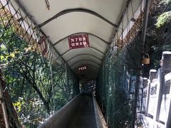 -洛阳白云山景区