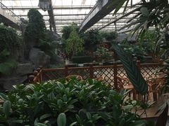 -汤山翠谷生态餐厅