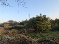 -谷丰健康凤贤居酒家