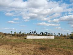 -盐城丹顶鹤湿地生态旅游区