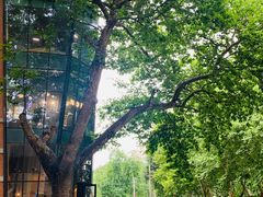 -西安电影制片厂