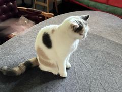 -莫内艺术岛海景咖啡