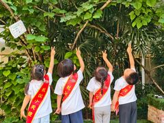 -金豆子幼稚园