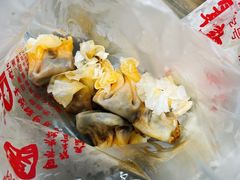 -宝华园百年老字号烧麦
