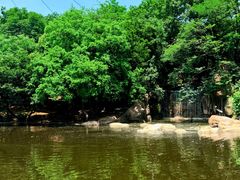 -合肥野生动物园