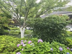 -浙江宾馆·花园餐厅·自助餐厅·茶吧