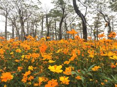 -芒洲湿地公园