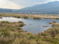 -腾冲北海湿地