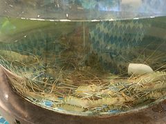 -南海底小海鲜·湘菜(鲁巷吴家湾店)