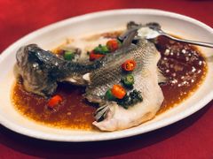 鲜花椒蒸鲈鱼-湛江菜.江南首席(昆山店)