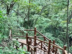 -大岭沟猕猴桃谷风景区