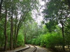 -西青郊野公园