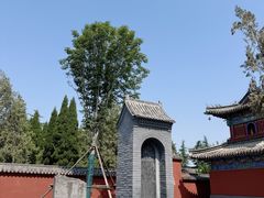 -洛阳白马寺