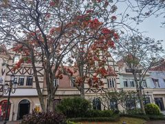 -海花岛旅游度假区
