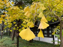 -清晏园