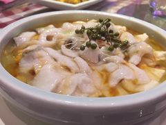 豆花鲜鲈鱼-邓丽君音乐主题餐厅