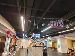 -世界之窗阿尔卑斯冰雪世界