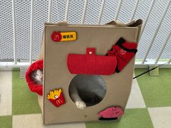 -上海浦东smart汽车全功能店(金桥店)