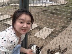 -三块石国家森林公园