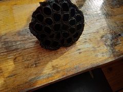 -白洋淀景区