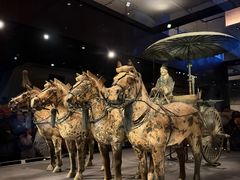 -秦始皇帝陵博物院-丽山园