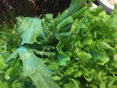 -朴大人炭烤·韩国料理(奥帆中心海尔洲际店)