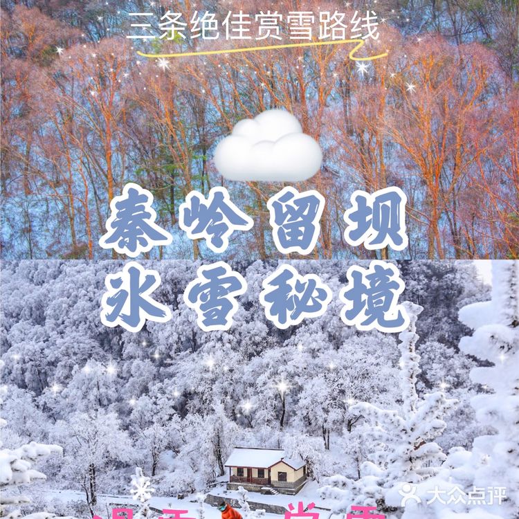 冬季去哪儿玩🔥秦岭留坝冰雪秘境，滑雪⛷️赏雪