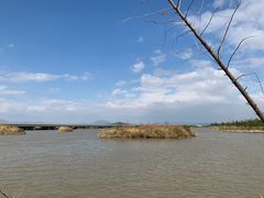 -漩门湾国家湿地公园