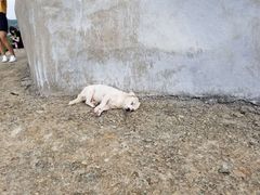 -悠客优品(虞锦楼店)