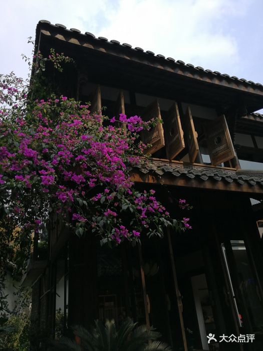 薛涛·院子里图片 - 第178张