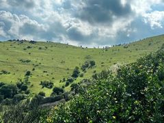 -大姆山草场