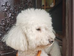 -小草屋轰趴馆别墅派对新场团建家庭聚会