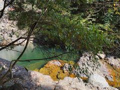 -花岩国家森林公园