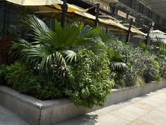 -Ameigo梅果·云贵川bistro(长宁来福士店)