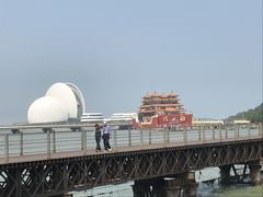 -野狸岛