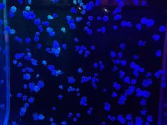 -欢乐海岸海洋奇梦馆