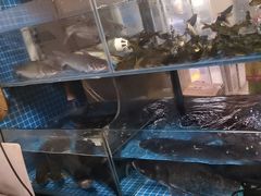 -简奥斯汀·赫本酒吧