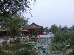 -武清南湖绿博园