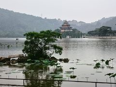 -顺峰山公园