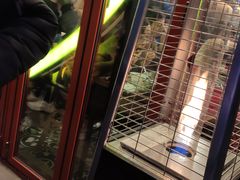 -江南猪肉商会无限续吃(弘大店)