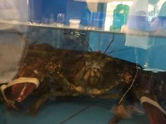 -大头椰·椰子鸡火锅(南宁万象城店)