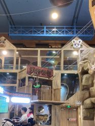 -卡通尼·Safari非洲探索乐园·生日会(金桥国际商业广场店)