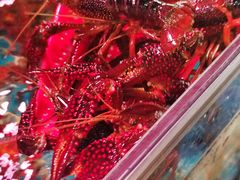 -巽寮印象美食部落餐厅·海鲜·地方特色菜(惠州体验店)