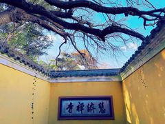 -普陀山慧济禅寺