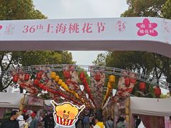 -南汇桃花村