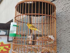 门面-连云港民主路老街