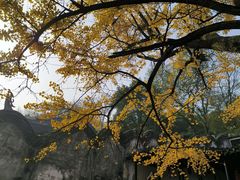 -惠山古镇·寄畅园