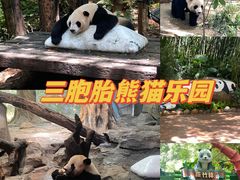 -广州长隆野生动物世界