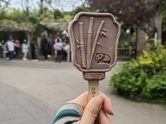 -成都大熊猫繁育研究基地