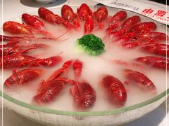 -红盔甲·小龙虾(天钥桥店)
